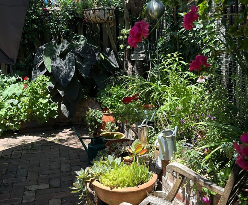 $400, Share-house, 3 bathrooms, Newtown NSW 2042