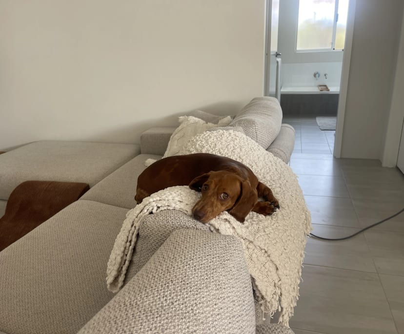 $420, Share-house, 3 bathrooms, Duncraig WA 6023