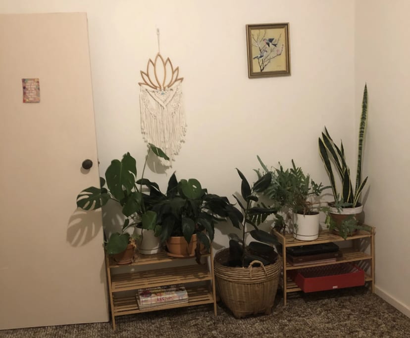 $200-310, Flatshare, 2 rooms, Brunswick West VIC 3055, Brunswick West VIC 3055