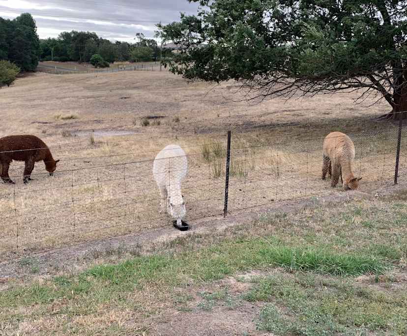 $500, Whole-property, 1 bathroom, Yass NSW 2582