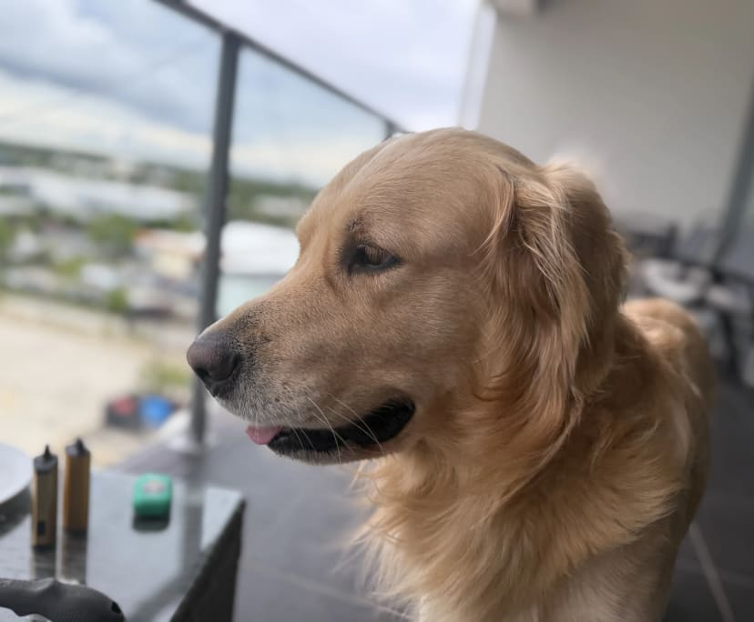 $260, Flatshare, 3 bathrooms, North Lakes QLD 4509