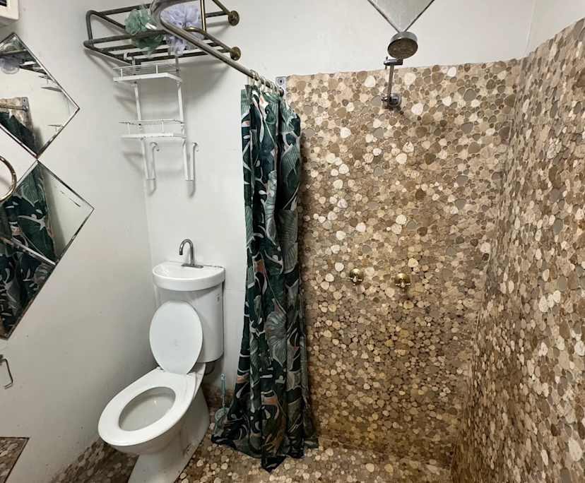 $350, Share-house, 4 bathrooms, Ultimo NSW 2007