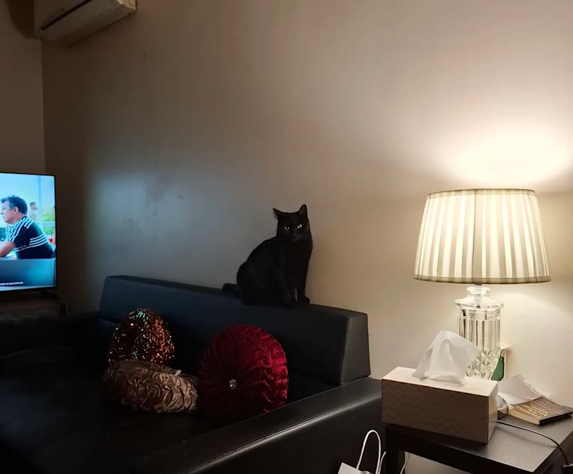 Furnished room in a share house