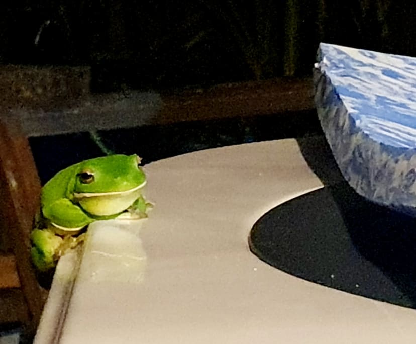 $280, Share-house, 4 bathrooms, Machans Beach QLD 4878