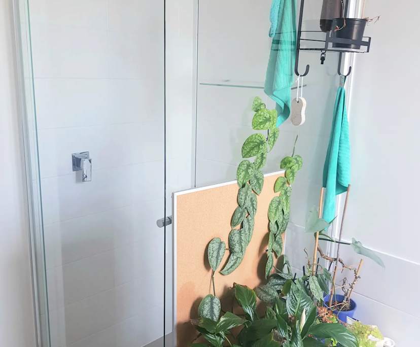 $260, Share-house, 3 bathrooms, Spearwood WA 6163