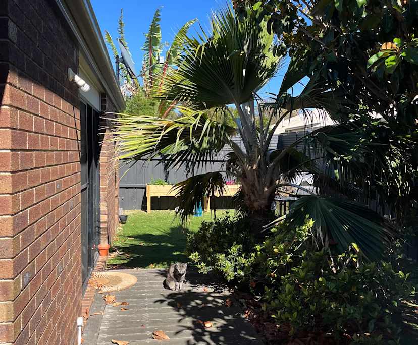 $206, Share-house, 3 bathrooms, Grovedale VIC 3216