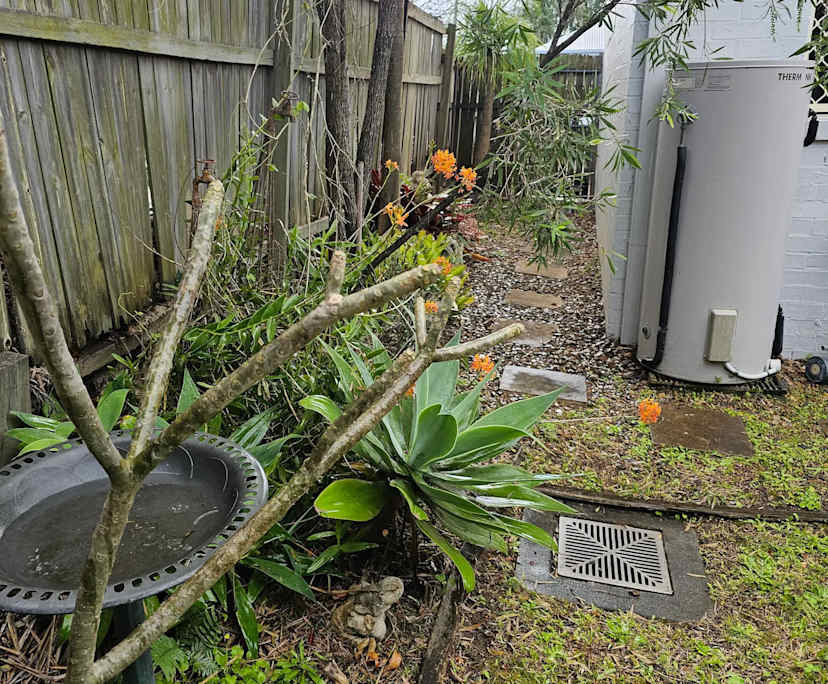 $250, Share-house, 3 bathrooms, Oxley QLD 4075