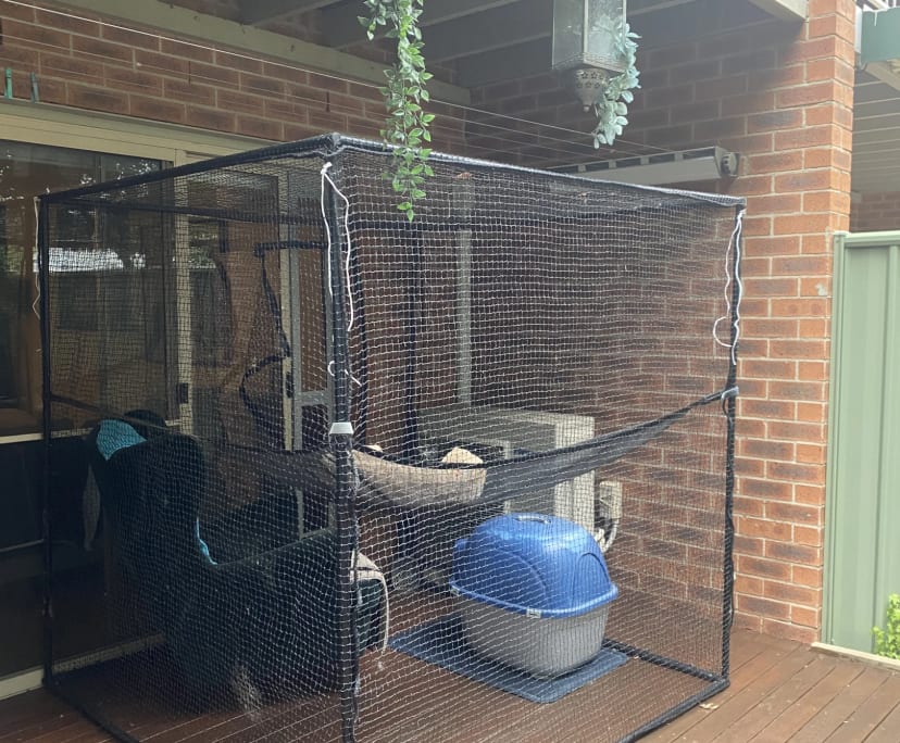 $235, Share-house, 3 bathrooms, Evatt ACT 2617