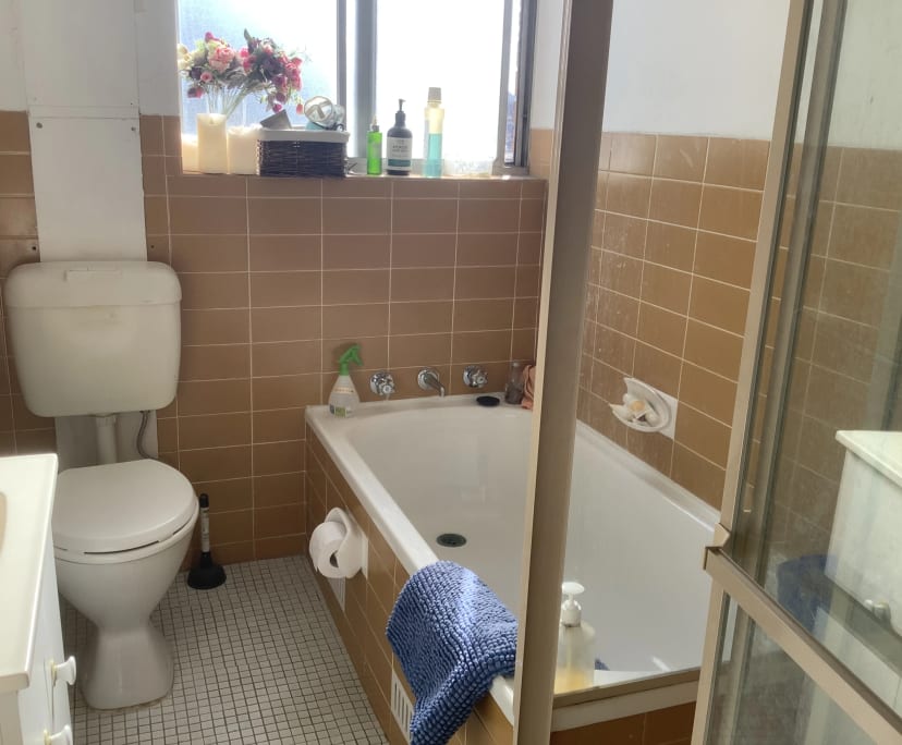 $350, Flatshare, 2 bathrooms, Glebe NSW 2037