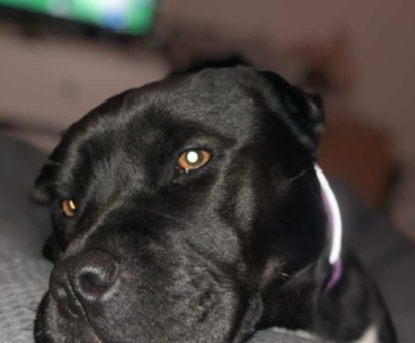 $154, Share-house, 3 bathrooms, Warrnambool VIC 3280