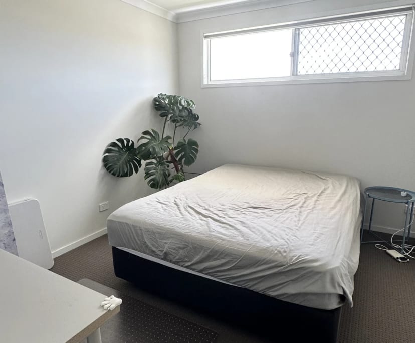 $250, Share-house, 4 bathrooms, Spring Mountain QLD 4300