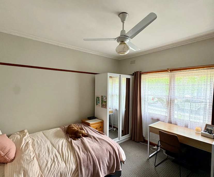 Whole property with 3 rooms for rent