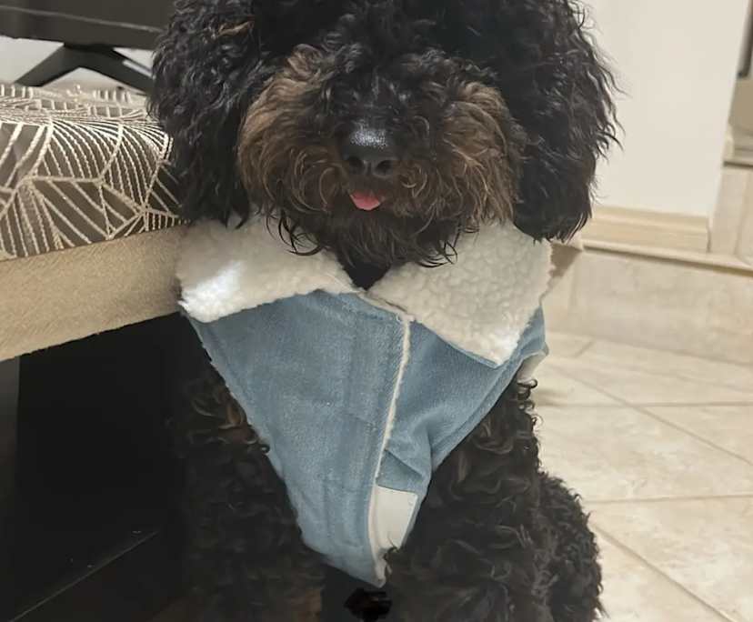 $0, Share-house, 3 bathrooms, Como WA 6152