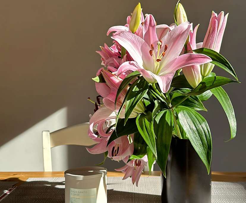 $330, Share-house, 3 bathrooms, Ripponlea VIC 3185