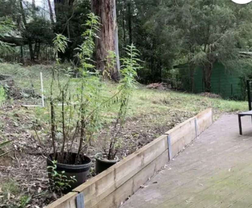 Whole Property for Rent in Warburton, Melbourne 4...