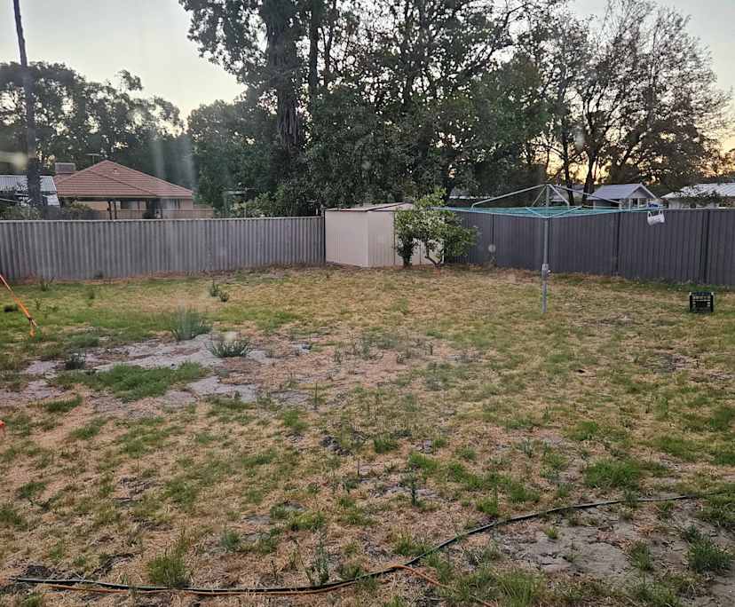 $300, Share-house, 3 bathrooms, Maddington WA 6109
