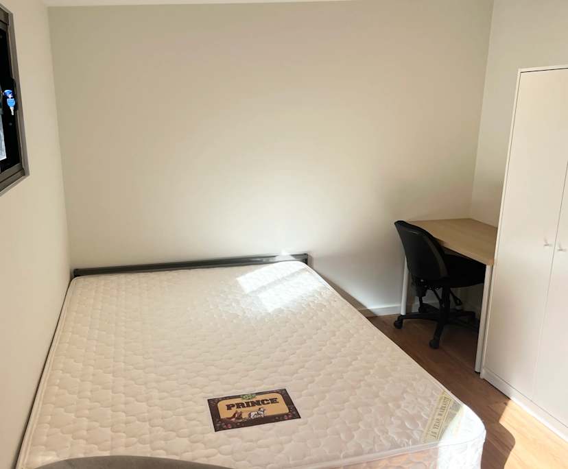Whole property with 1 room for rent