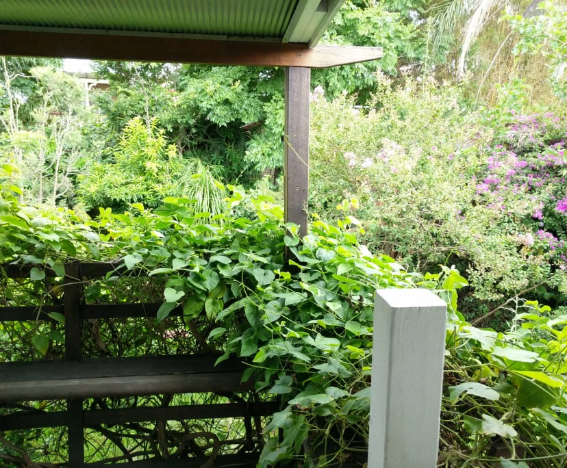 $300, Share-house, 3 bathrooms, Woolloongabba QLD 4102