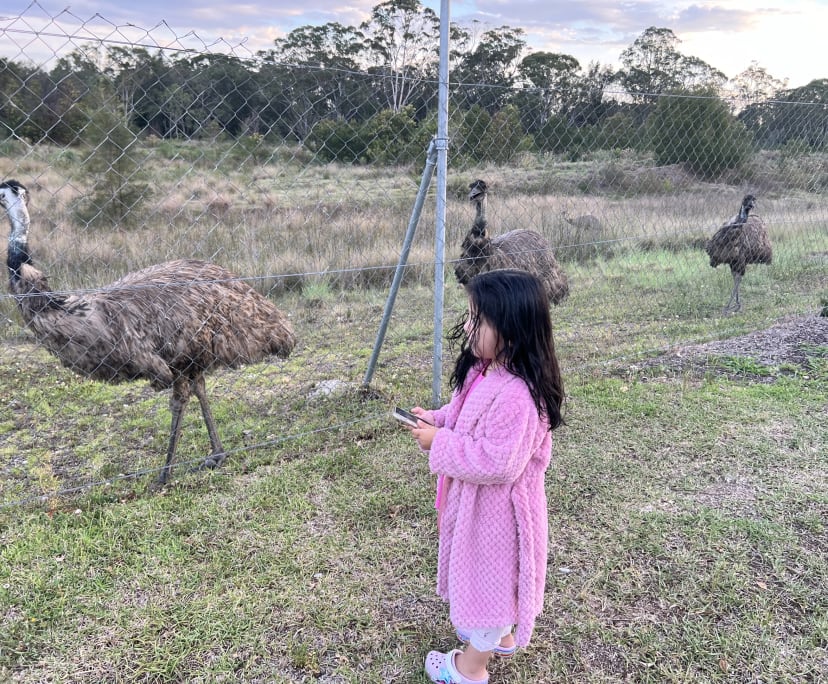 $210, Homestay, 3 bathrooms, Jordan Springs NSW 2747