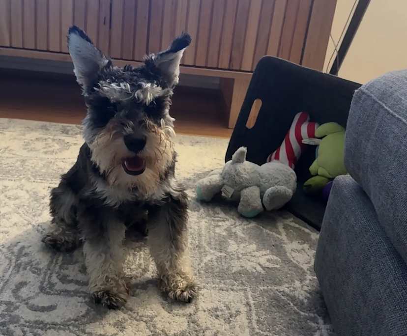 $380, Flatshare, 2 bathrooms, South Perth WA 6151