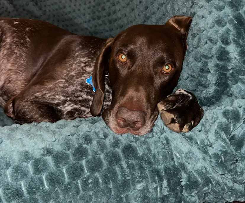 $350, Share-house, 4 bathrooms, Muirhead NT 0810