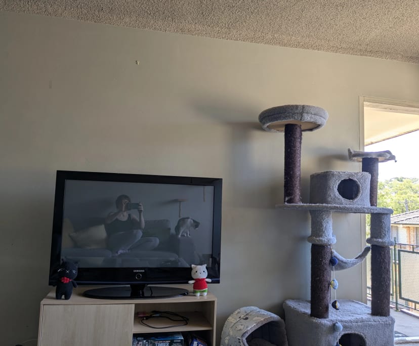 $300, Flatshare, 2 bathrooms, West Ryde NSW 2114
