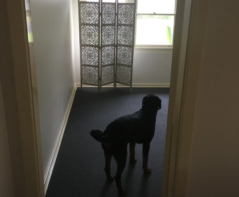 Unfurnished room in a share house