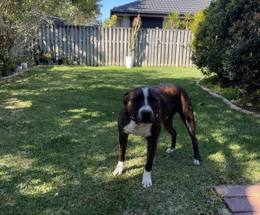 $375, Share-house, 3 bathrooms, Burleigh Waters QLD 4220