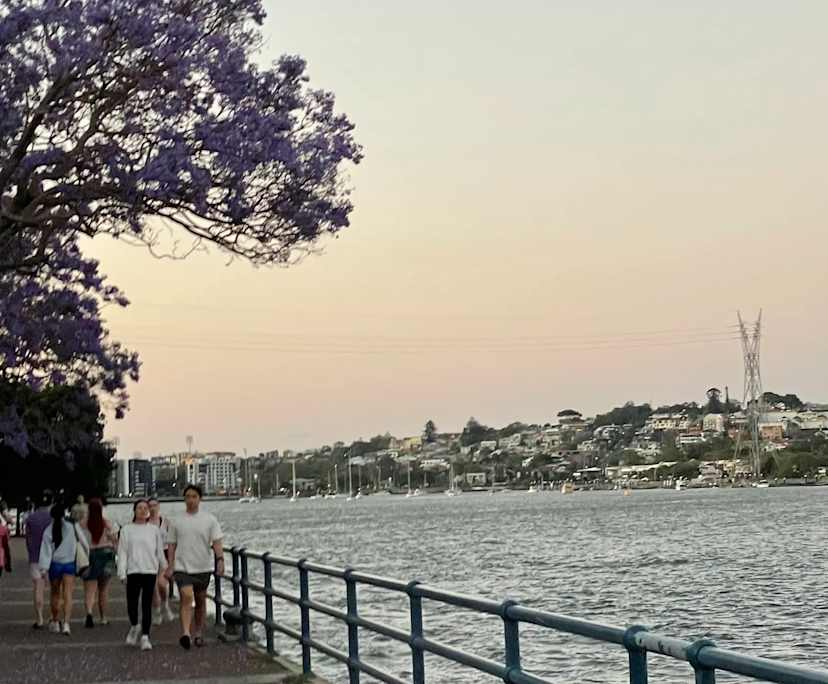 $300, Flatshare, 2 bathrooms, New Farm QLD 4005