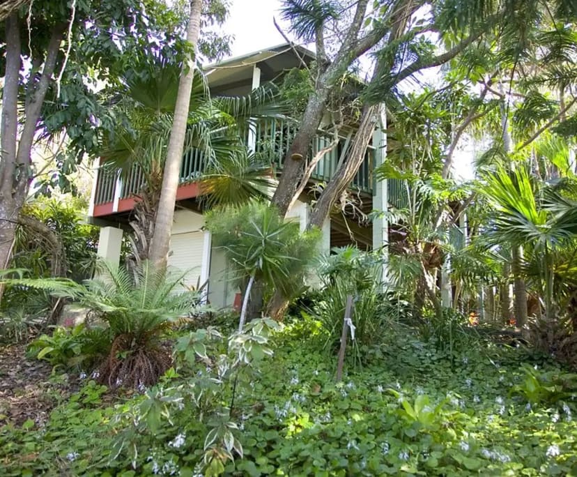 Room for Rent in Sunshine Beach, Sunshine Coast | $3... | Flatmates.com.au