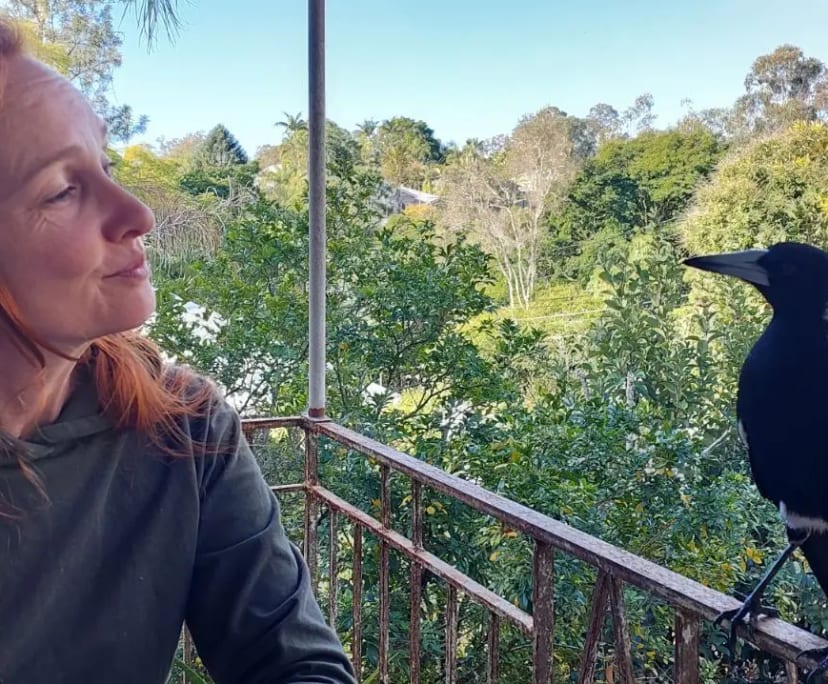 $300, Share-house, 3 bathrooms, Bardon QLD 4065