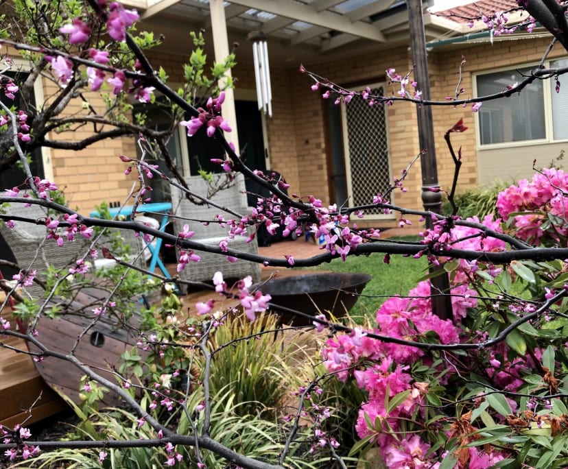 $300, Share-house, 3 bathrooms, O'Connor ACT 2602