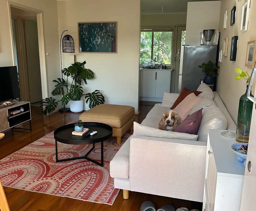 Whole property with 2 rooms for rent