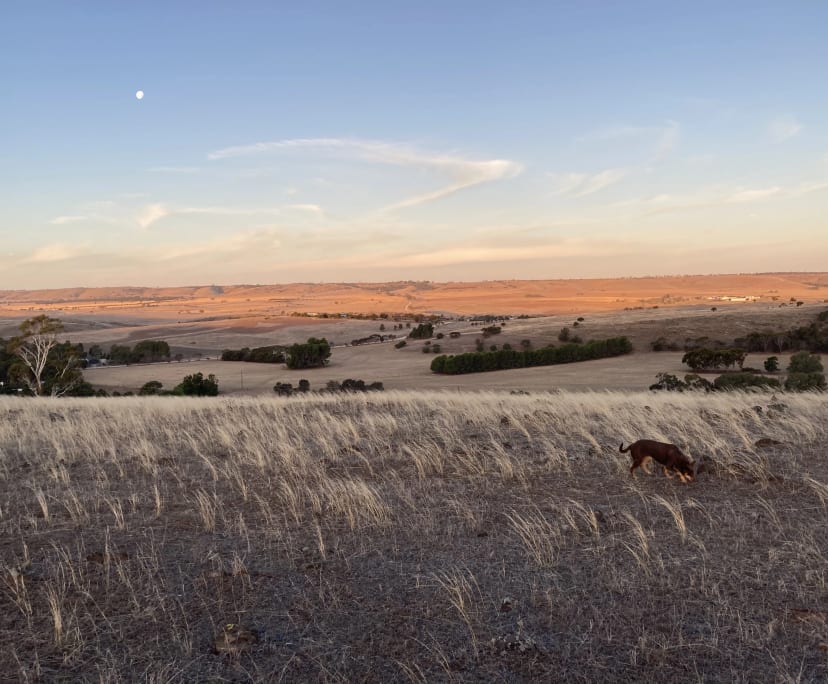 Studio for Rent in Kanmantoo, SA 150, Furnished,