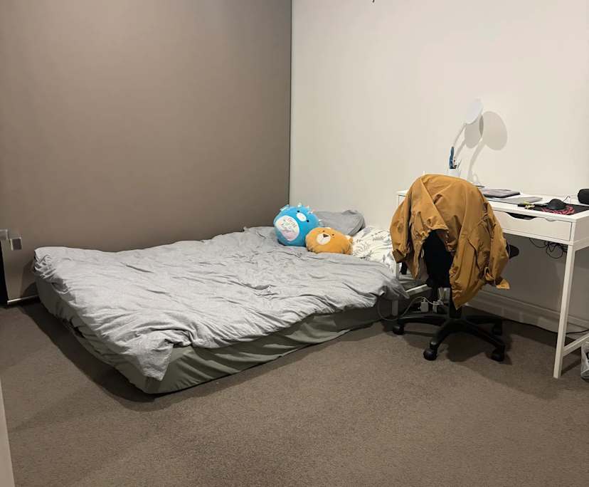 $480, Flatshare, 2 bathrooms, Phillip ACT 2606