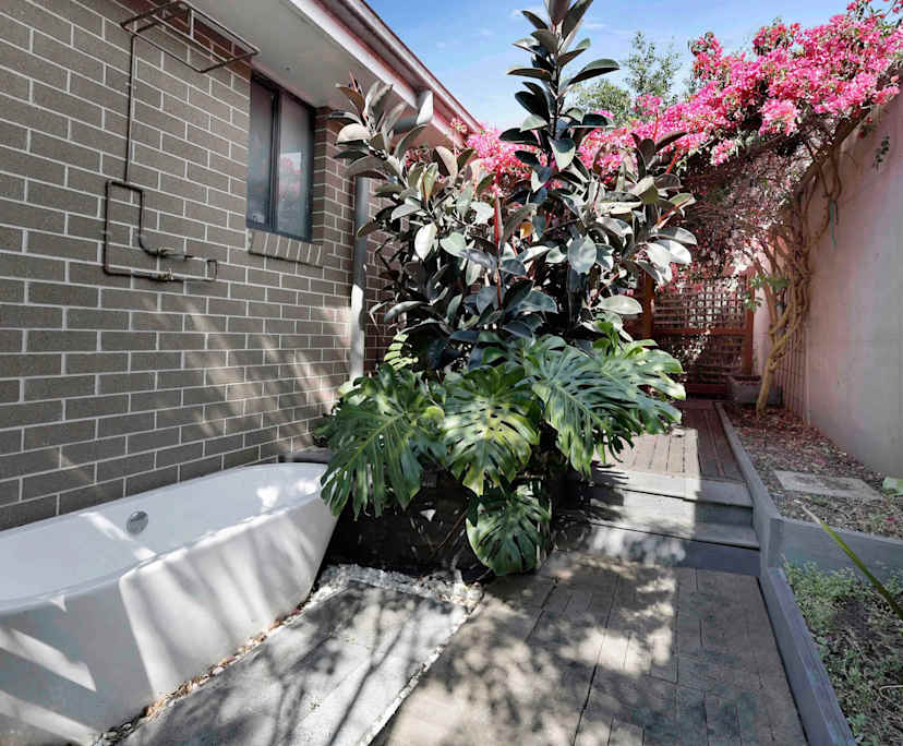 Whole property with 4 rooms for rent