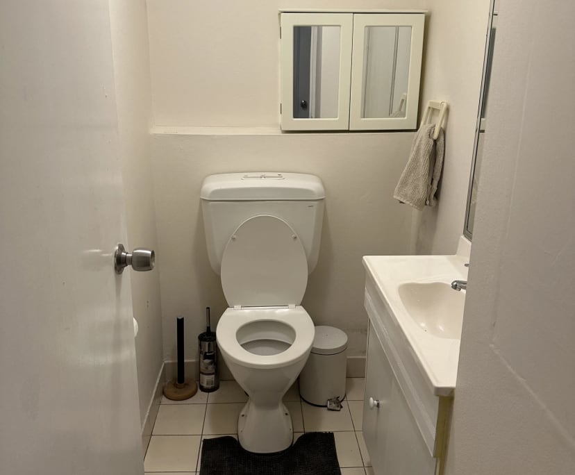 $250, Flatshare, 3 bathrooms, Ultimo NSW 2007