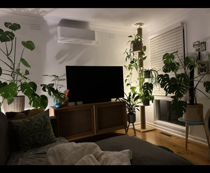 Room in a share house