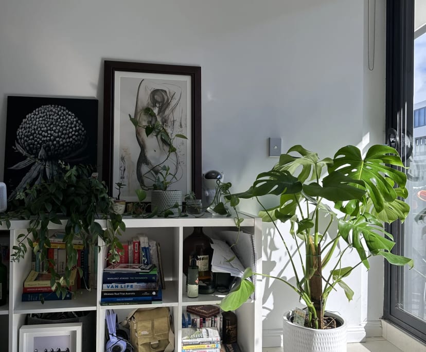 Room in a flatshare