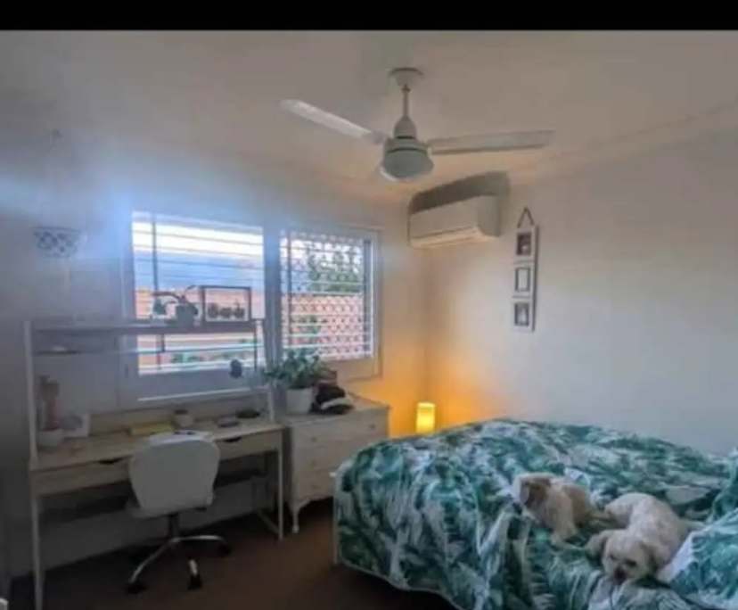 Room in a share house