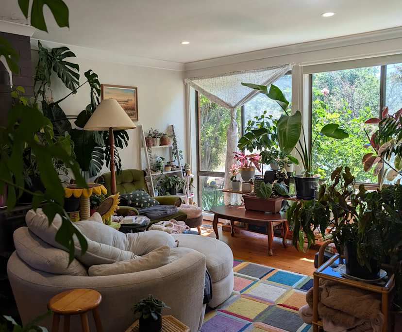 Room in a share house