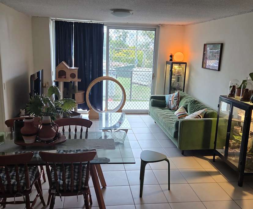 Whole property with 2 rooms for rent