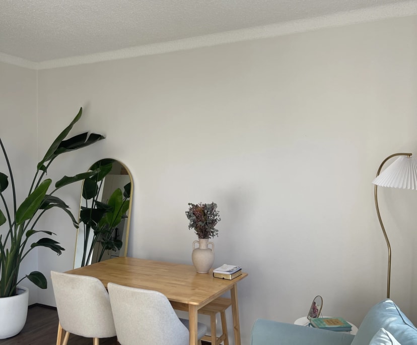 Whole property with 1 room for rent