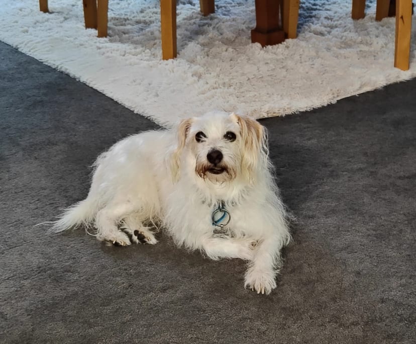 $400, Share-house, 4 bathrooms, Dianella WA 6059