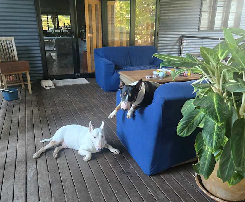 $300-350, Share-house, 2 rooms, Ludmilla NT 0820, Ludmilla NT 0820