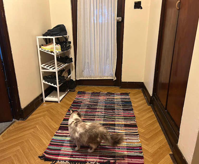 Unfurnished room in a flatshare