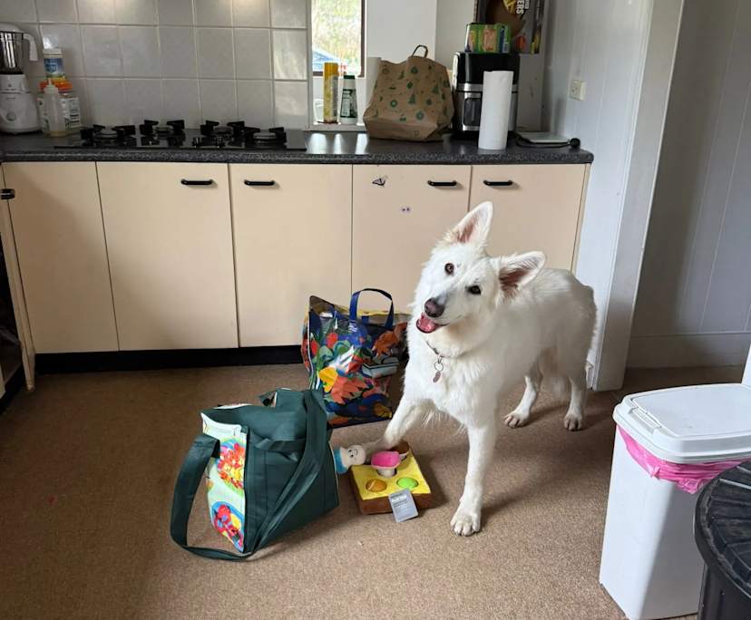 Room in a share house