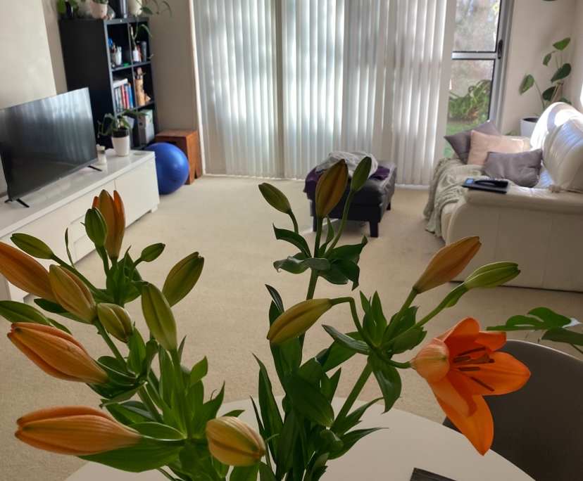 $325, Flatshare, 2 bathrooms, Cammeray NSW 2062