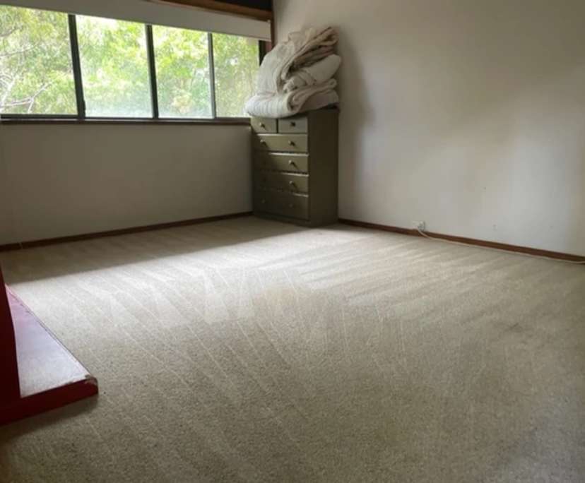 $350, Share-house, 3 bathrooms, Avalon Beach NSW 2107