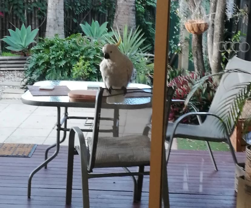 Student accommodation